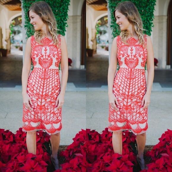 💯 ANTHROPOLOGIE Sugared Ruby Sheath - Picture 1 of 8